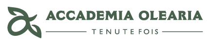 Econergia - Logo Accademia Olearia