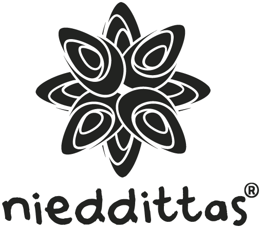 Econergia - Logo Nieddittas